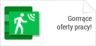 Oferty pracy